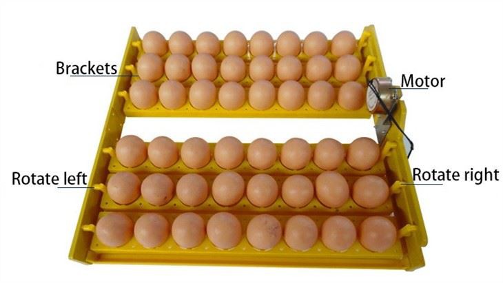 48 Egg Incubator